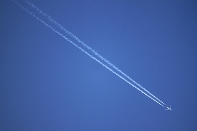 c0368903_23093695.jpg