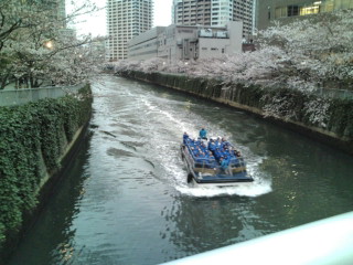 目黒川の桜並木と観光船_e0028904_14105595.jpg