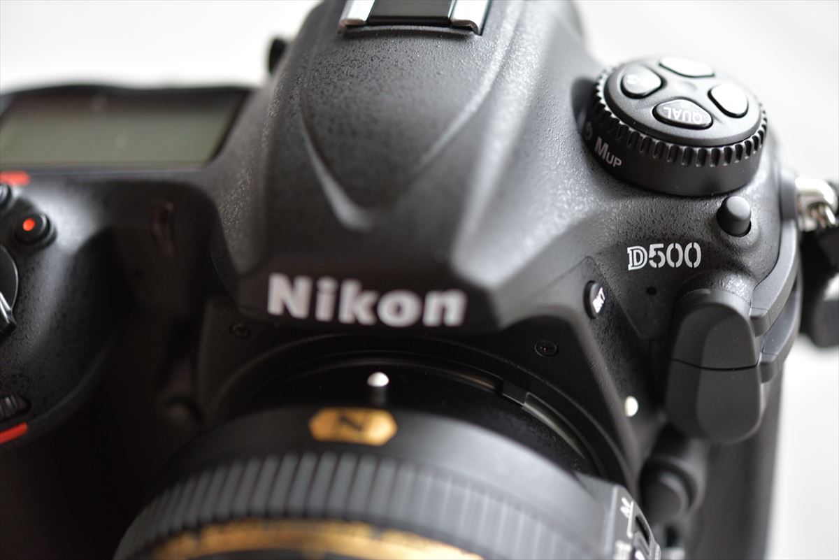 Nikon D500 ファースト・インプレッション : やぁやぁ。 Nikon D500 ファースト・インプレッション : やぁやぁ。