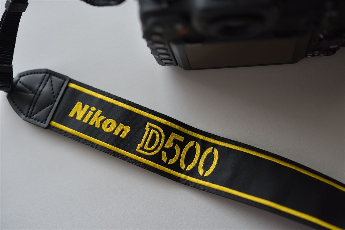 Nikon D500 ファースト・インプレッション : やぁやぁ。