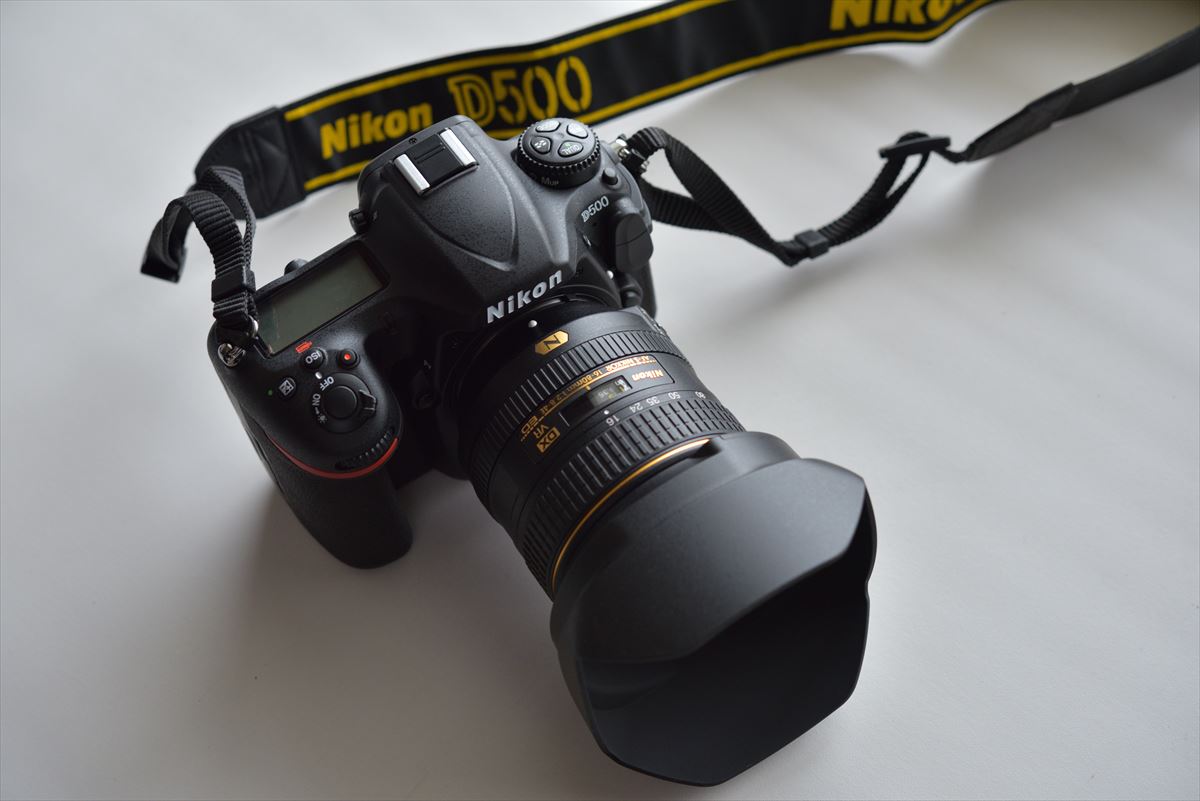 Nikon D500 ファースト・インプレッション : やぁやぁ。
