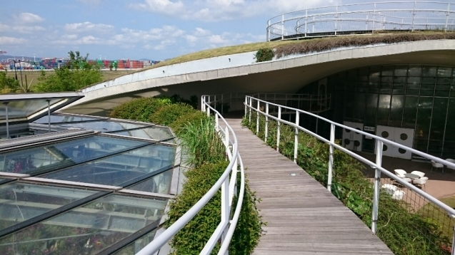 ぐりんぐりん 伊東豊雄設計 たっぷり ほっこり 元気になる写真