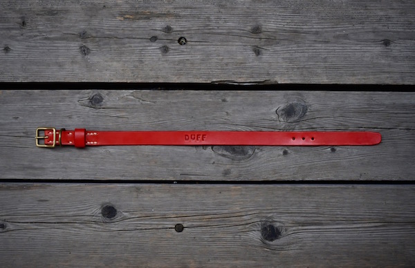 dog collar_b0172633_2130167.jpg