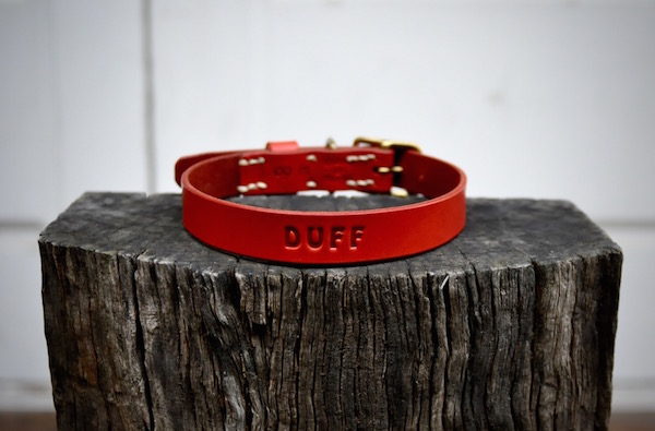 dog collar_b0172633_21302449.jpg