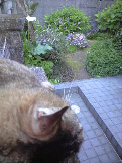ゴールデンウイーク_d0141735_15205790.jpg