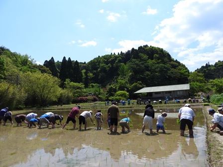 米作り1・田植え体験をしよう_a0123836_14193771.jpg