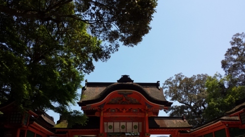 b0355038_19293959.jpg