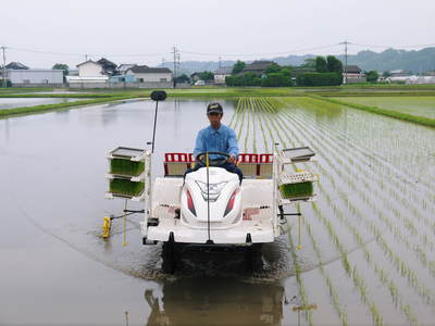 大人気!長尾ブランドの新鮮野菜!朝採りニンジン、ダイコン好評販売中!! 切り干し大根は現在加工中!_a0254656_1831210.jpg