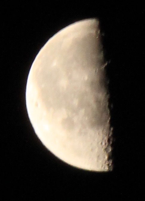 a0248459_16323323.jpg