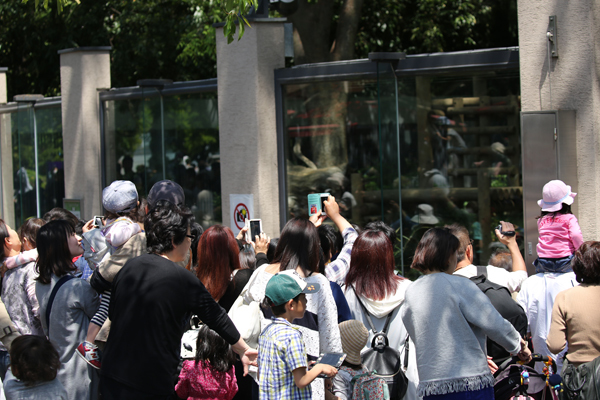 毎月行ってるからわかる！上野動物園の混雑を回避する５つのワザ_e0086860_17195977.jpg