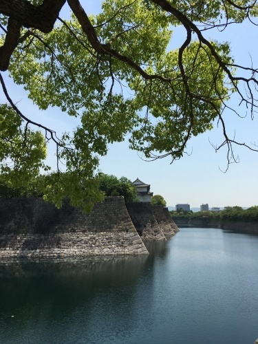 b0176275_14174251.jpeg