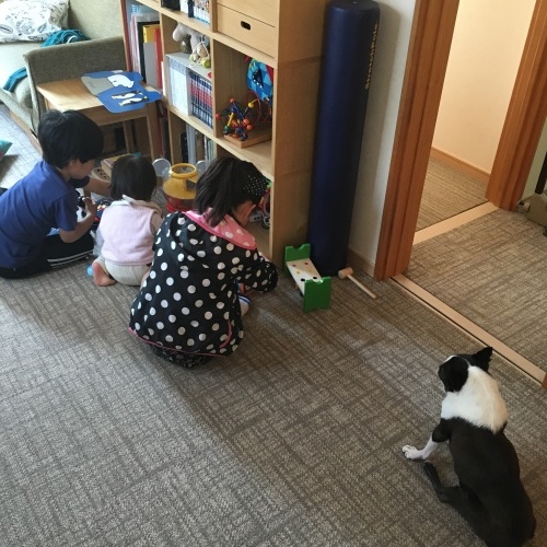 d0041575_17005384.jpeg