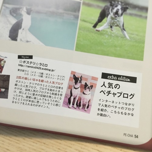 d0041575_21184925.jpeg