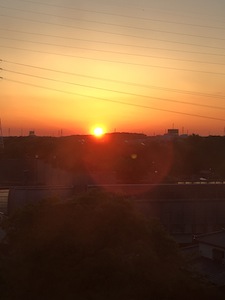 朝4時におきて_a0191183_13221122.jpg