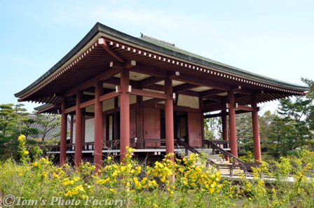 奈良大和路「春の斑鳩の里」～中宮寺の菩薩半跏像_b0155692_12195416.jpg