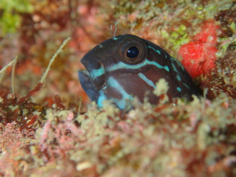 e0115199_13065907.jpg