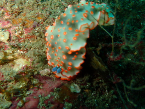 e0115199_13070745.jpg