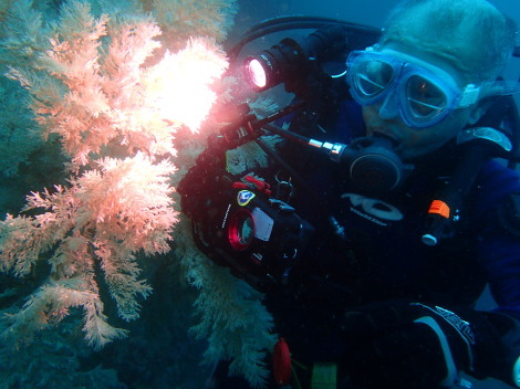e0115199_13105138.jpg