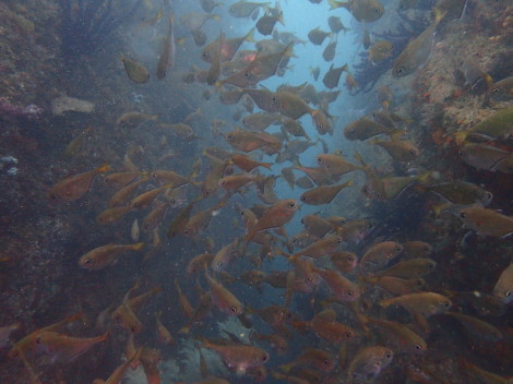 e0115199_13111942.jpg