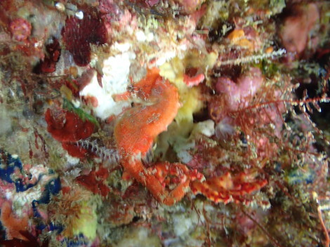 e0115199_13115781.jpg