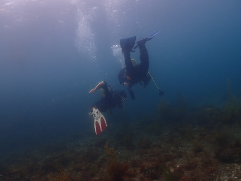 e0115199_13445318.jpg
