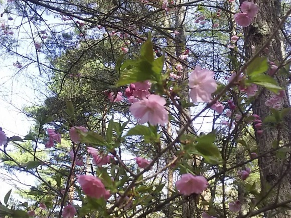 a0288500_21111870.jpeg