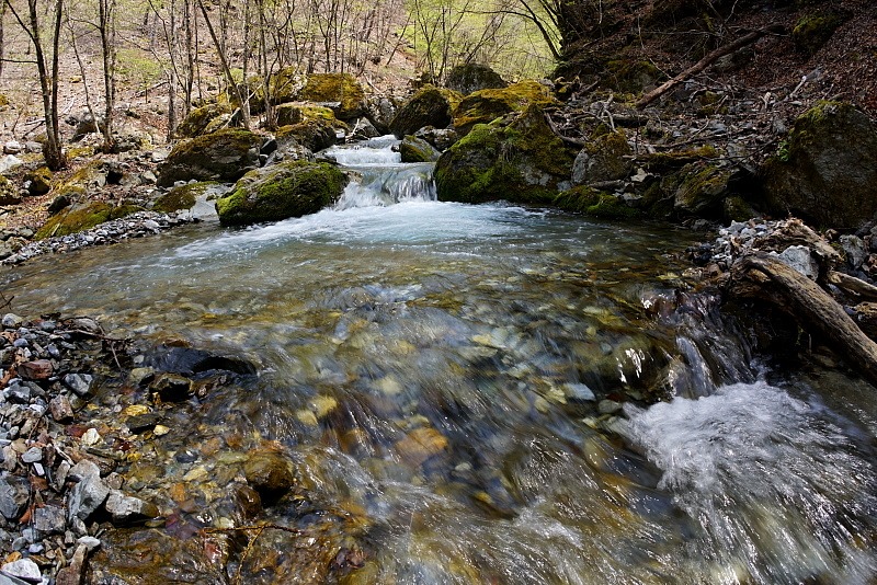 c0339900_8362879.jpg
