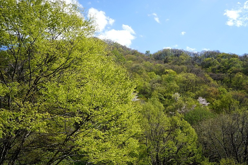 c0339900_8442446.jpg