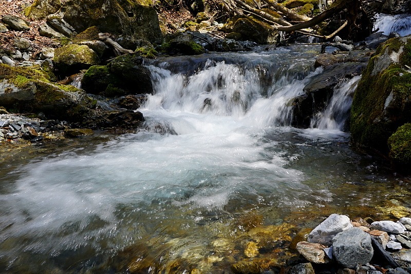 c0339900_8492038.jpg
