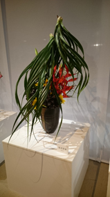 渋谷ヒカリエにて華展(龍生派)_e0246300_14275754.jpg
