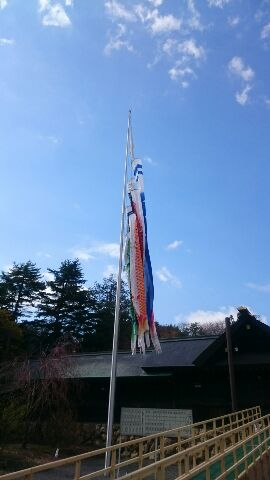 5月1日(日)★TOMMYアウトレット★5月初日晴れ(*´∇`)ノあゆみブログ♪_b0127002_1621874.jpg
