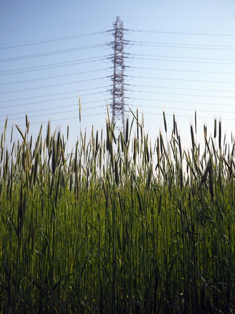 c0187503_2036493.jpg