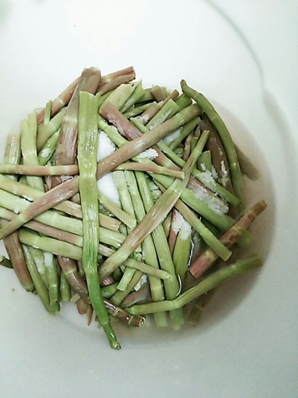 青森津軽産 天然イタドリ 塩漬け1㎏ オマケ付き 野菜 | suachualaptopdanang.vn