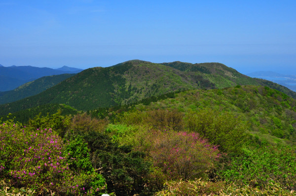 井原山 №220 水無より登る　2016.04.30_f0196109_07184495.jpg