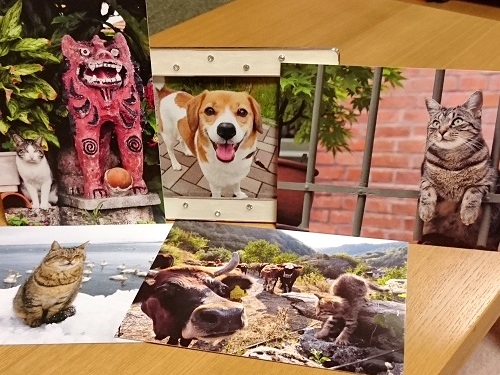 c0084117_2042738.jpg