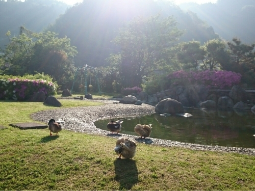 c0213817_10221348.jpg