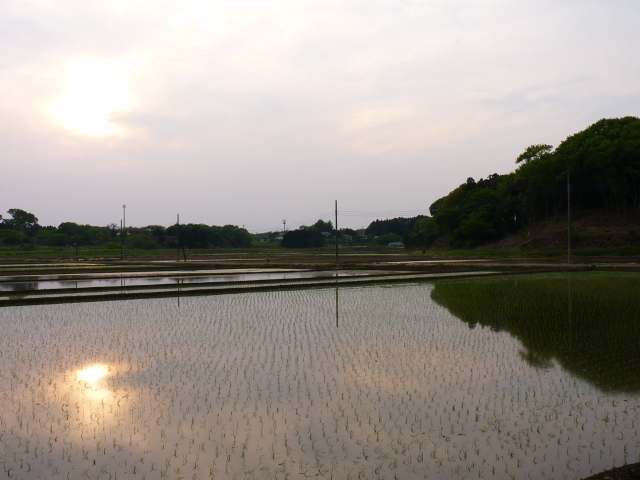 d0197317_22033968.jpg