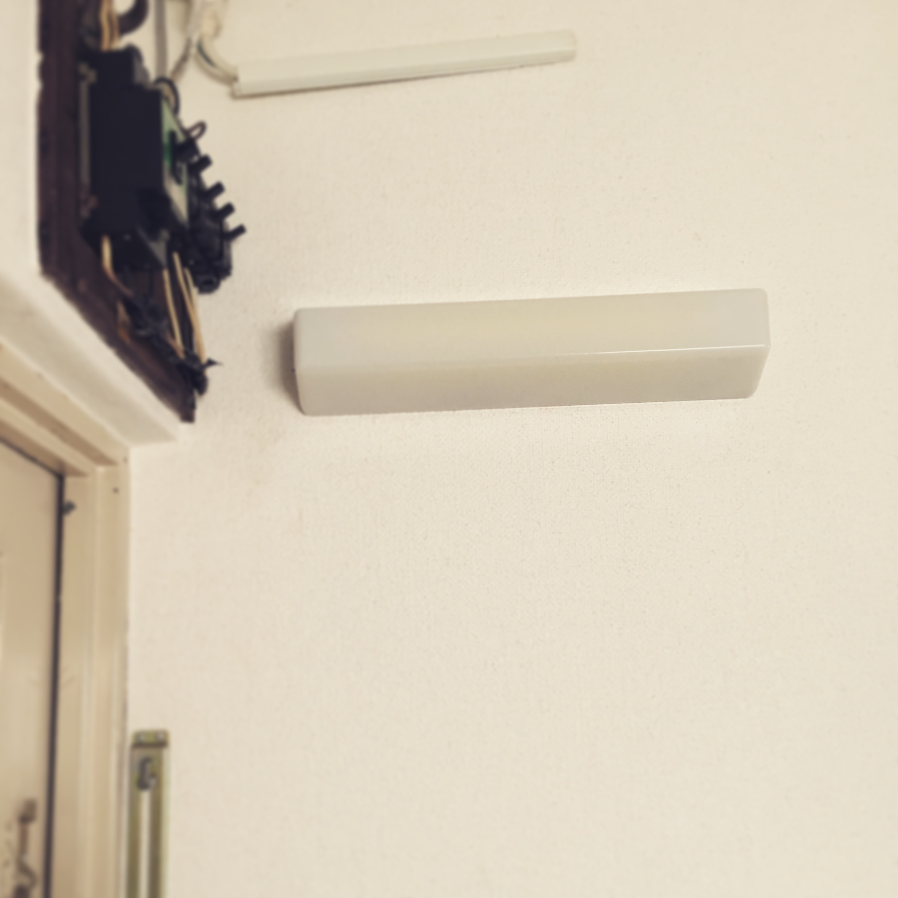 f0235919_20110519.jpeg