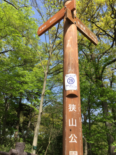 そういえばこの間びすけと東大和市の都立狭山公園をお散歩した(平成28(2016)年4月15日_c0156021_18011782.jpg