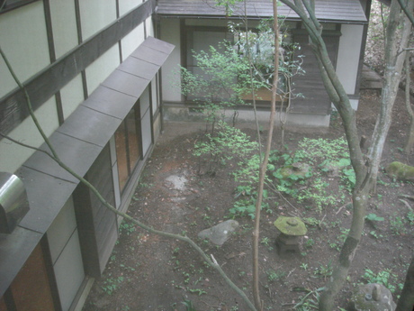 d0250123_215816.jpg