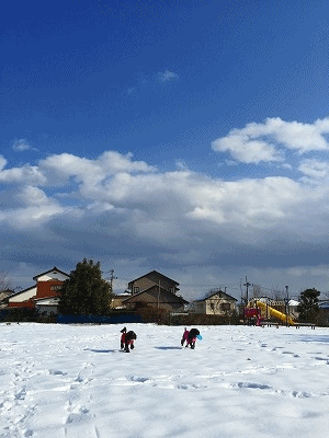 f0326925_17144994.gif