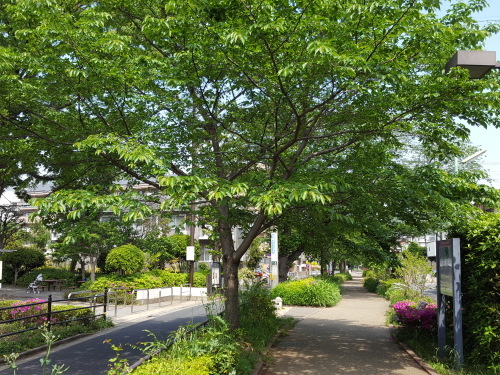 e0016828_11171262.jpg