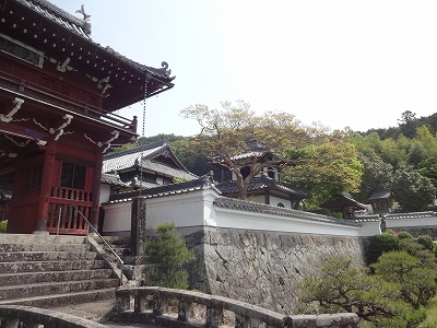 白毫寺　興禅寺　_b0069630_22155678.jpg