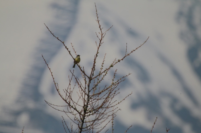 c0269342_17241943.jpeg