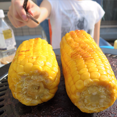 二日連続のVBBBQ(ベランダバルコニーバーベキュー)_c0060143_23495157.jpg