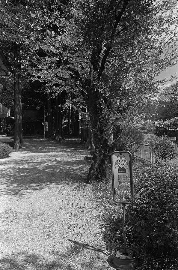 c0035245_220116.jpg