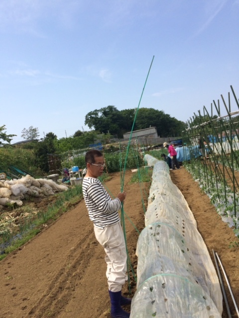 今朝は　飯田　永藤と４名様の畑ボランティアさんで　トマトの櫓立て　全て終了しました_c0222448_17292575.jpg