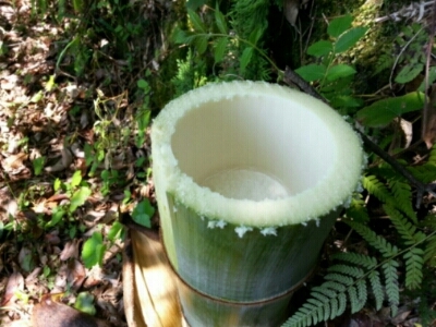 c0330749_13480441.jpg