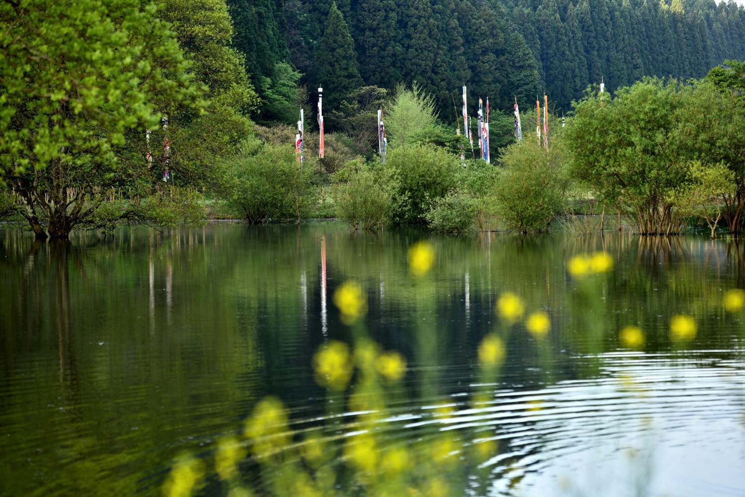 d0286954_05270368.jpg