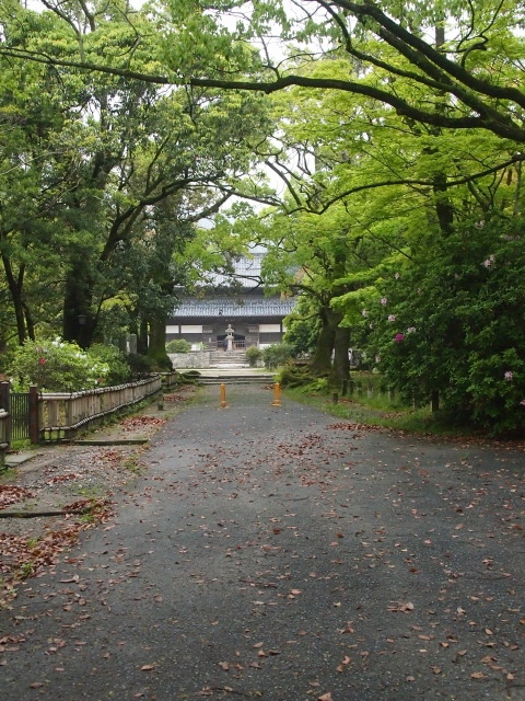 近場の太宰府政庁址、観世音寺へ行く　　d(-_-)b〜♪_b0124456_1735329.jpg